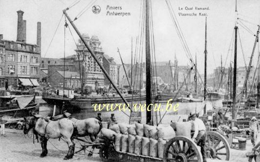postkaart van Antwerpen Vlaamse kaai