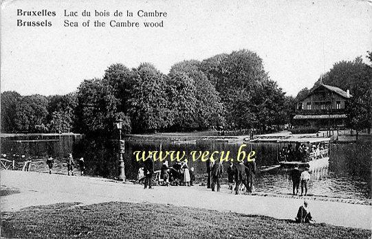 ancienne carte postale de Bruxelles Lac du bois de la Cambre - Chalet  Robinson