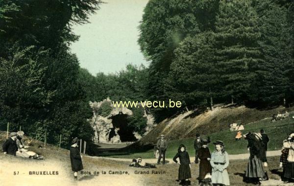 postkaart van Brussel Bois de la Cambre. Grand ravin