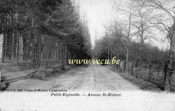 postkaart van Ukkel Petite-Espinette - Avenue Saint-Hubert