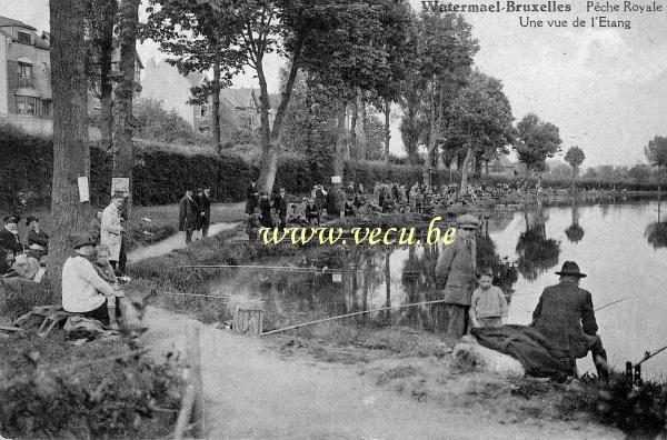 ancienne carte postale de Watermael-Boitsfort Pêche royale - une vue sur l'étang (Parc de Tercoigne)