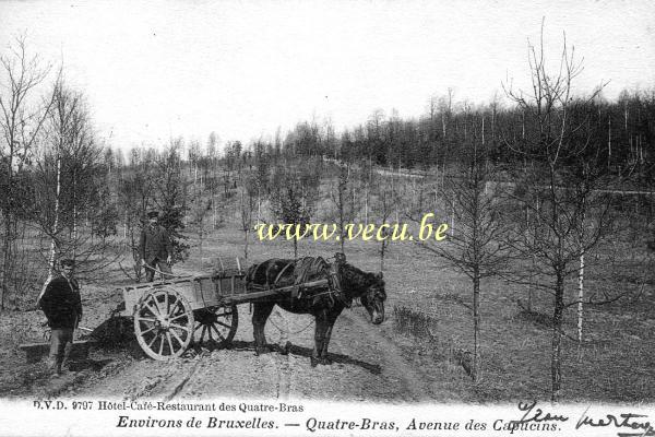 ancienne carte postale de Woluwe-St-Pierre Quatre-Bras, Avenue des Capucins