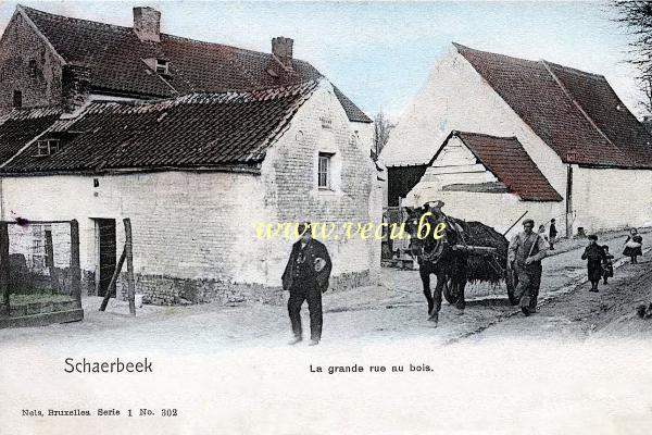 ancienne carte postale de Schaerbeek La grande rue au bois