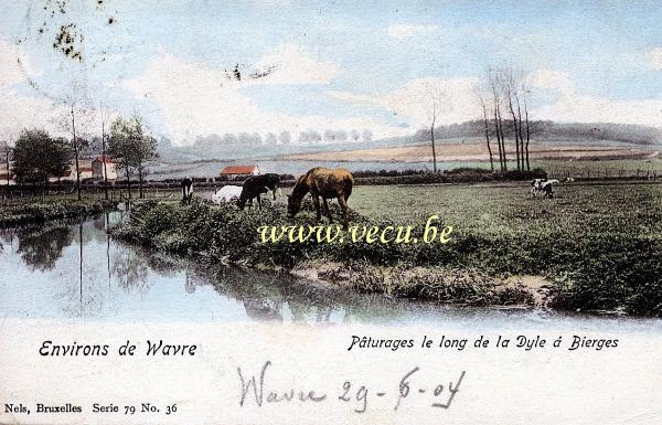 postkaart van Bierges Pâturages le long de la Dyle à Bierges