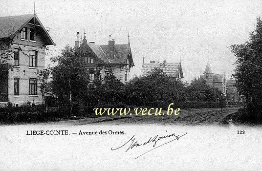 postkaart van Luik Cointe - Avenue des ormes