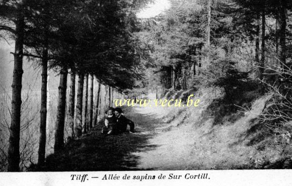 postkaart van Tilff Allée des sapins de Sur Cortill