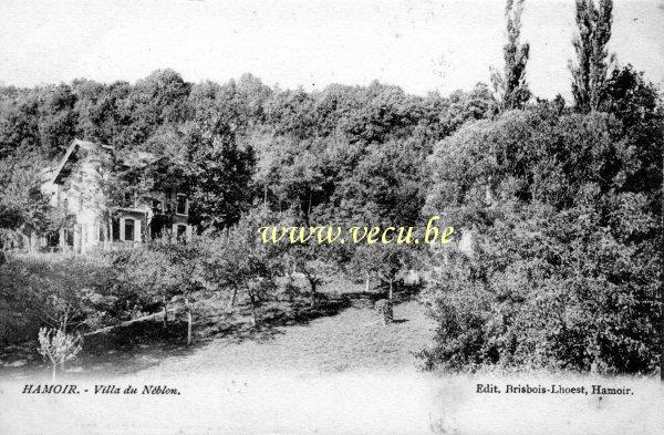 postkaart van Hamoir Villa du Néblon