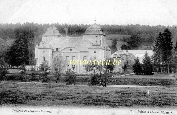 postkaart van Hamoir Château de Hamoir - Lassus