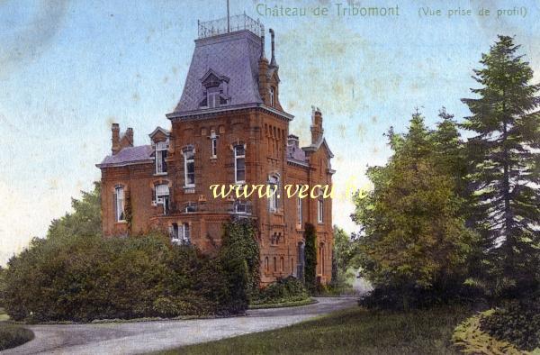 ancienne carte postale de Pepinster Château de Tribomont - Vue prise de profil