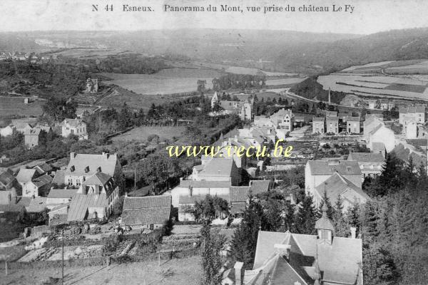postkaart van Esneux Panorama du Mont, vue prise du château Le Fy