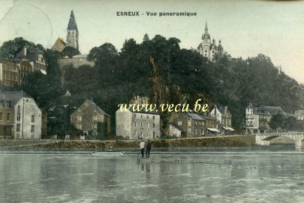 ancienne carte postale de Esneux Vue panoramique