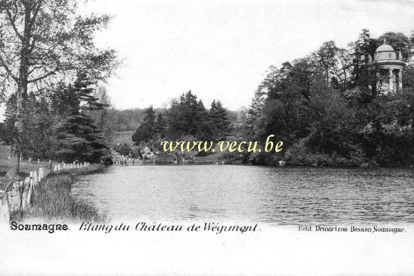 postkaart van Soumagne Etang du Château de Wégimont