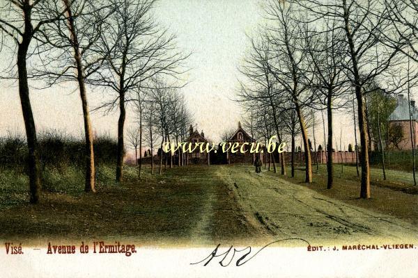postkaart van Wezet Avenue de l'ermitage