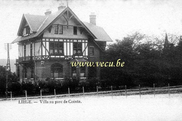 postkaart van Luik Villa au parc de Cointe