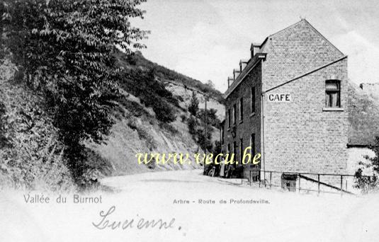 postkaart van Arbre Route de Profondeville