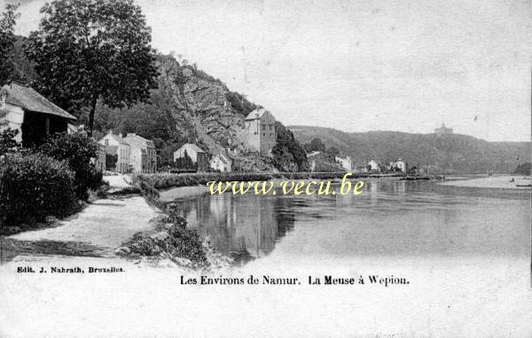 postkaart van Wépion Les environs de Namur. La Meuse à Wépion