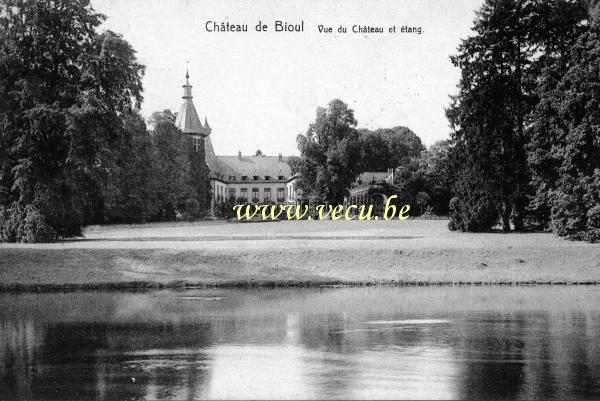 postkaart van Bioul Vue du château et étang
