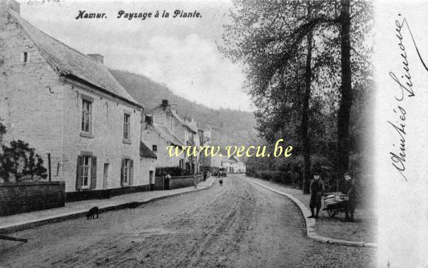 postkaart van Namen Paysage à la Plante