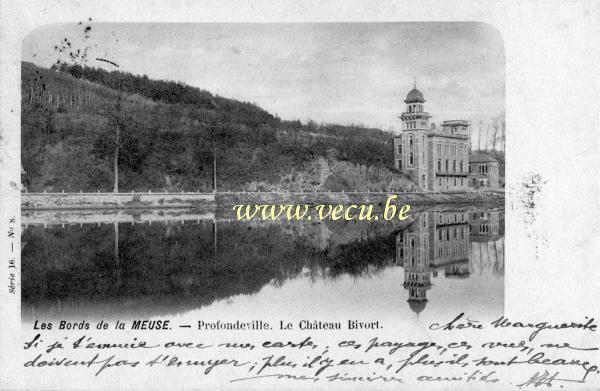 postkaart van Profondeville Le château Bivort