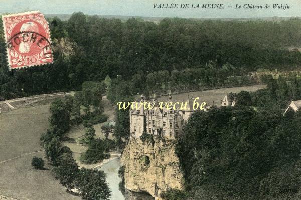 postkaart van Walzin Le Château de Walzin