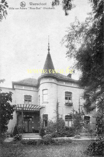 postkaart van Waarschoot Villa van Ackere - Rose Bud - voorkant