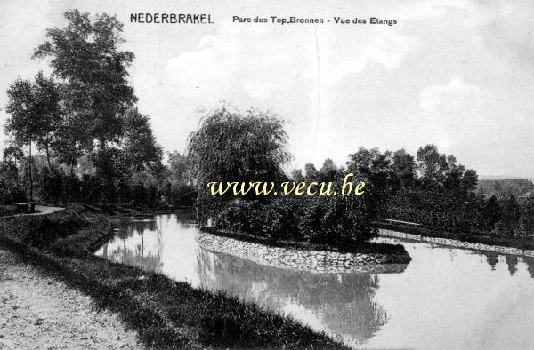 postkaart van Nederbrakel Parc des Top Bronnen - Vue des étangs