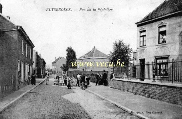 postkaart van Ruisbroek Rue de la Pépinière