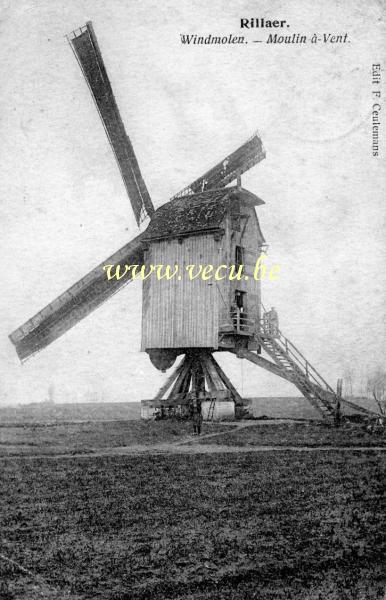 ancienne carte postale de Rillaar Moulin à vent
