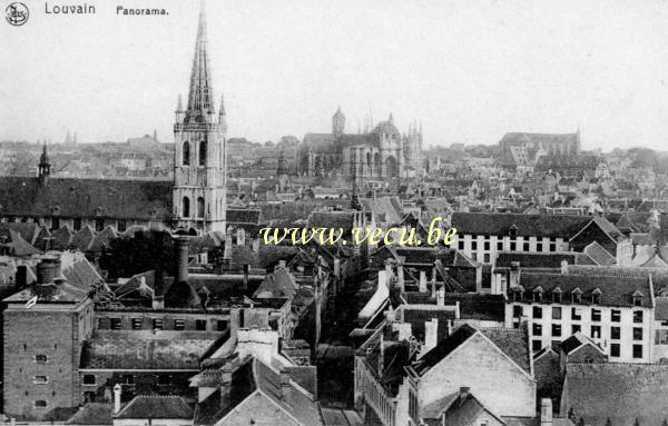 postkaart van Leuven Panorama
