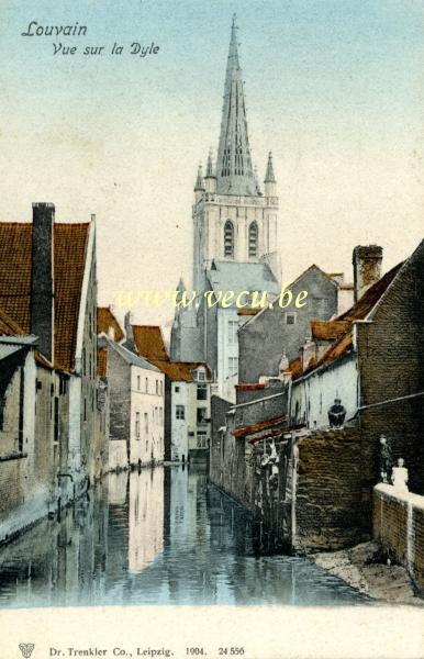 postkaart van Leuven Zicht op de Dijle