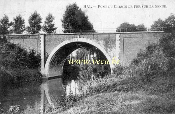 postkaart van Halle Pont du chemin de fer sur la Senne