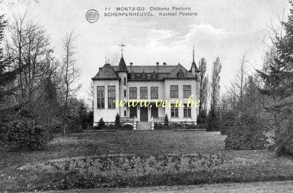 ancienne carte postale de Montaigu Château Peeters
