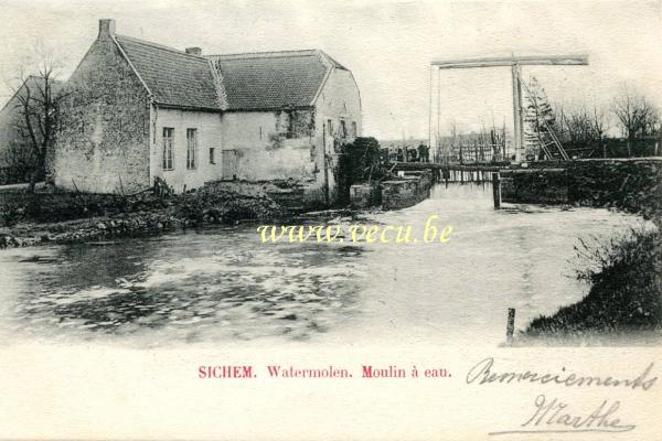 postkaart van Zichem Watermolen