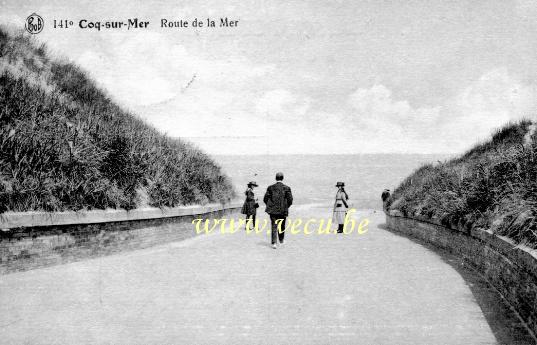 ancienne carte postale de Le Coq Route de la mer