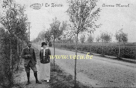 ancienne carte postale de Le Zoute Avenue Marcel