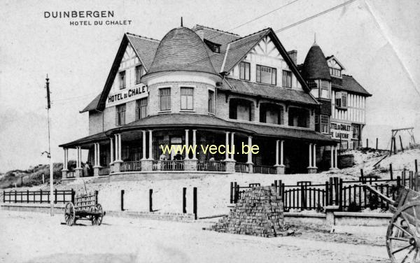 postkaart van Duinbergen Hôtel du Châlet