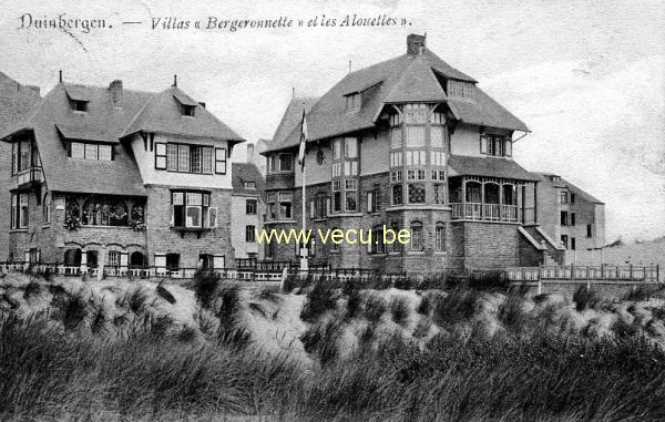 postkaart van Duinbergen Villas Bergeronnette et les Alouettes