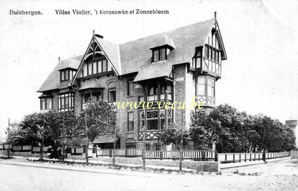 postkaart van Duinbergen Villas Violier, 't kersauwke et Zonnebloem