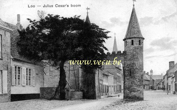 postkaart van Lo Julius Cesar's boom