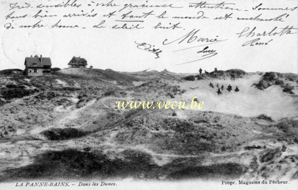 ancienne carte postale de La Panne Dans les dunes