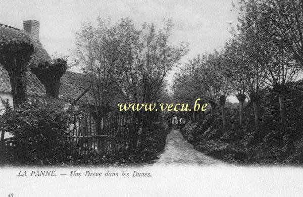 postkaart van De Panne Une drève dans les dunes