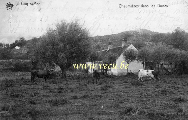 ancienne carte postale de Le Coq Chaumières dans les dunes