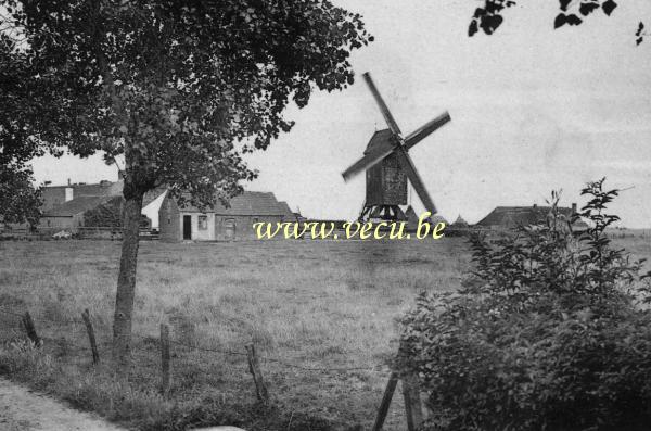 ancienne carte postale de Le Coq Le Moulin