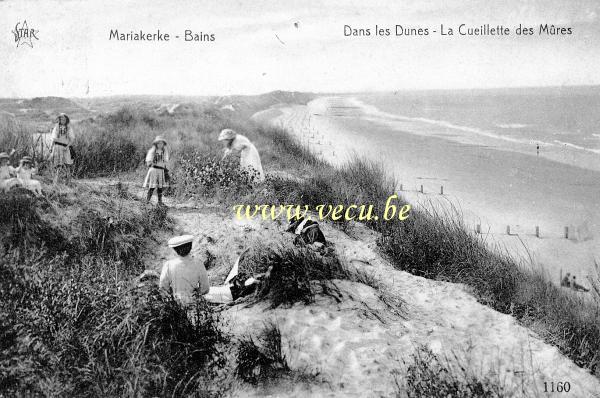 ancienne carte postale de Mariakerke Dans les dunes - La cueillette des mûres