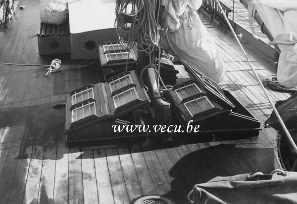 photo ancienne  de voiliers  Détails