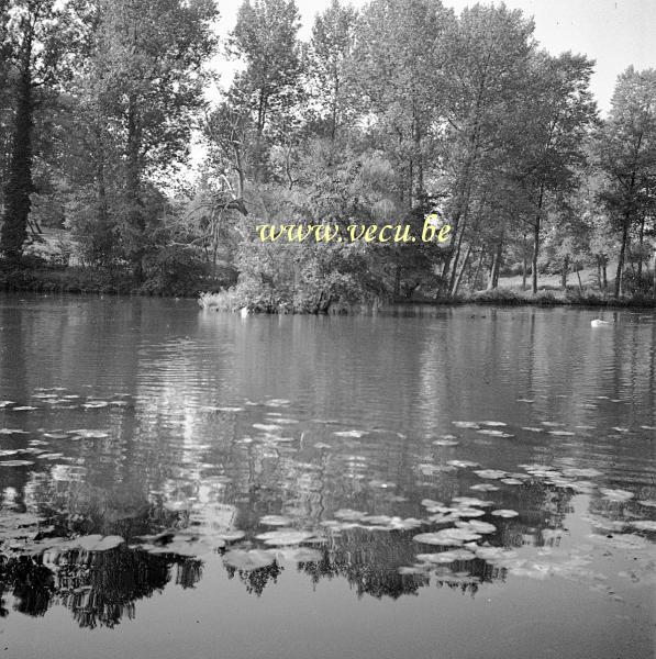 photo ancienne  de la commune d'Auderghem  Vue sur un des étangs
