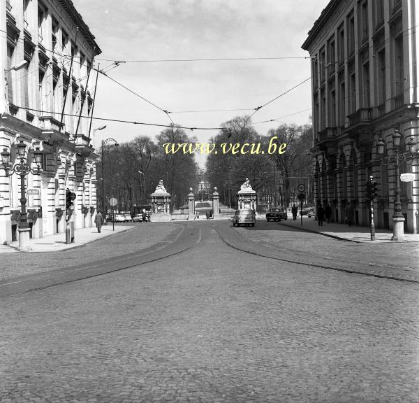 photo ancienne  du Parc de Bruxelles  Vue sur le parc et sur la rue royale depuis la Place Royale