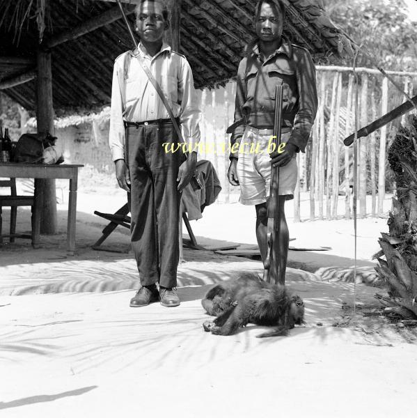 photo ancienne  de chasse et de pêche au Congo  Retour de la Chasse au singe