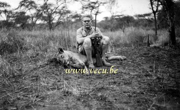 photo ancienne  de chasse et de pêche au Congo  Chasse au lion