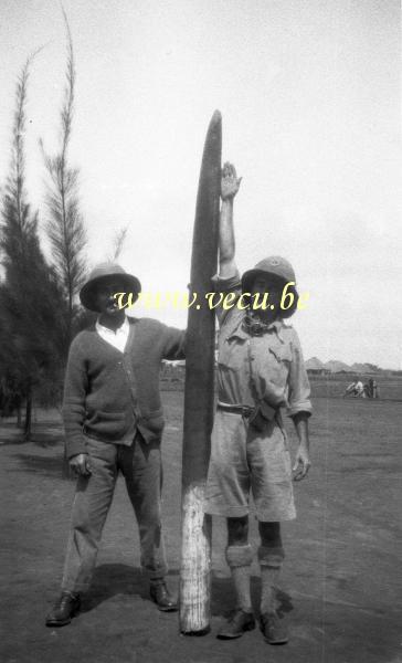 photo ancienne  de chasse et de pêche au Congo  Chasseur d'ivoire